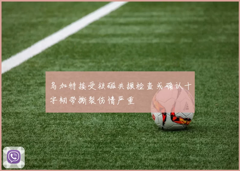 乌加特接受核磁共振检查或确认十字韧带撕裂伤情严重