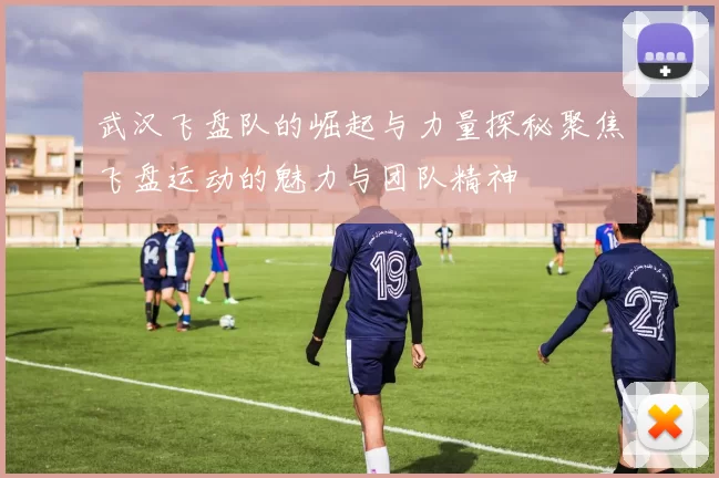 武汉飞盘队的崛起与力量探秘聚焦飞盘运动的魅力与团队精神