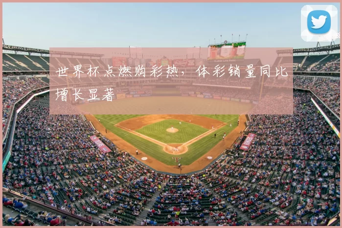 世界杯点燃购彩热,体彩销量同比增长显著