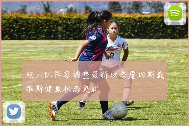 湖人队阵容调整最新动态詹姆斯戴维斯健康状态更新