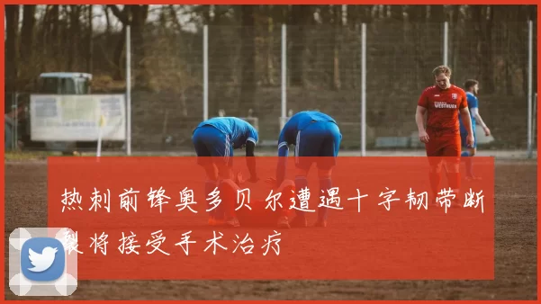 热刺前锋奥多贝尔遭遇十字韧带断裂将接受手术治疗