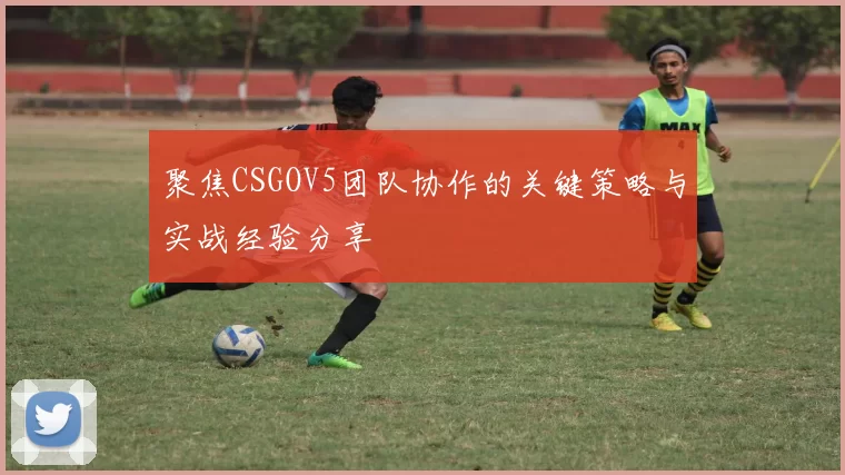 聚焦CSGOV5团队协作的关键策略与实战经验分享