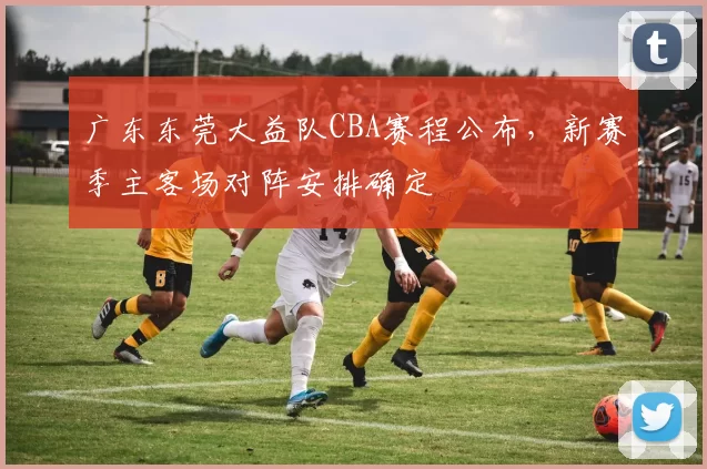广东东莞大益队CBA赛程公布，新赛季主客场对阵安排确定