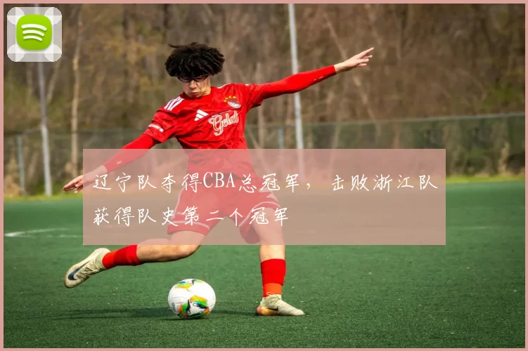 辽宁队夺得CBA总冠军,击败浙江队获得队史第二个冠军
