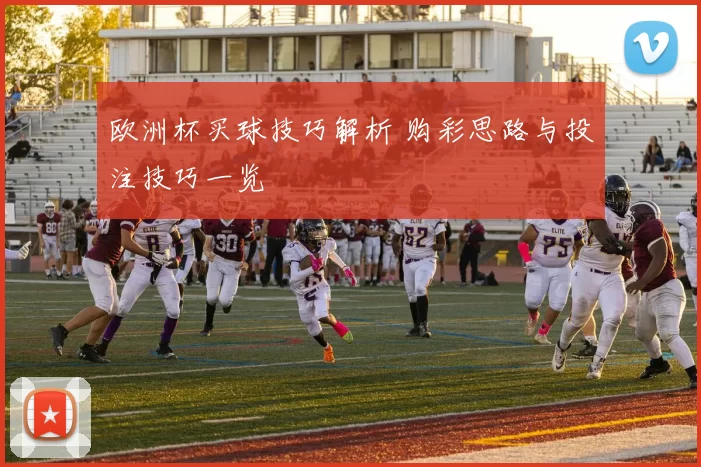 欧洲杯买球技巧解析 购彩思路与投注技巧一览