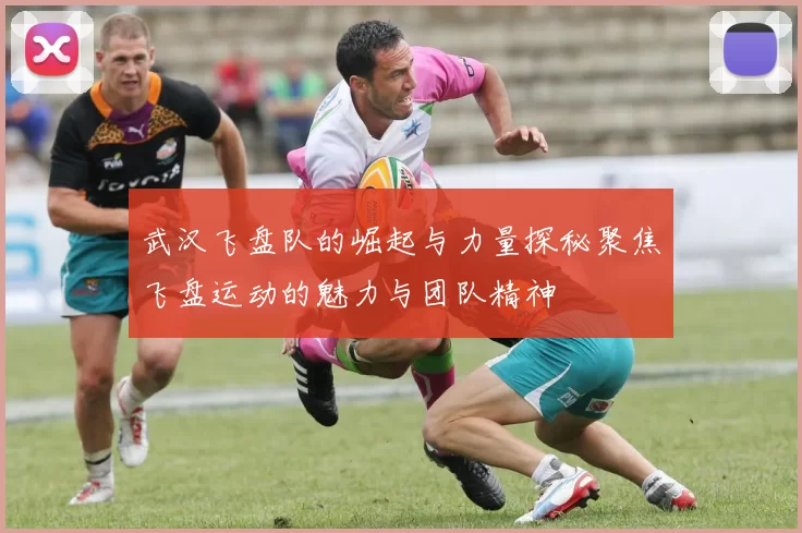 武汉飞盘队的崛起与力量探秘聚焦飞盘运动的魅力与团队精神