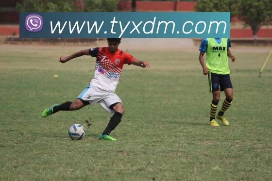 华体会平台生态图